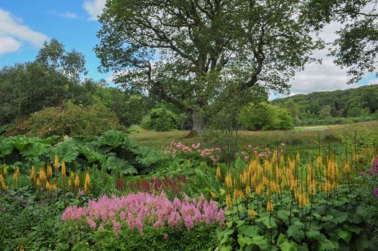 Colourful Flower Border in the Garden at Rosemoor, near Bideford.