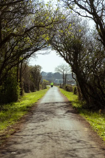 View along the Tarka Trail near Bideford