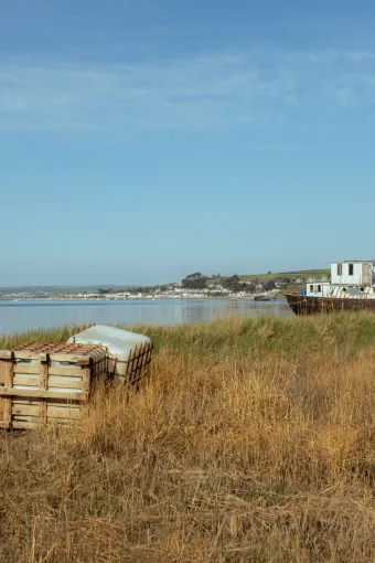View from the Tarka trail toward Instow beach on a sunny day