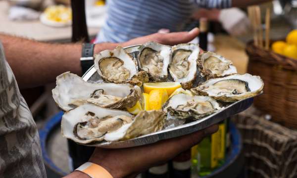 Oysters on plate