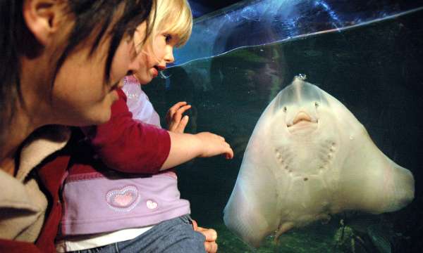 Mother and daughter at aquarium