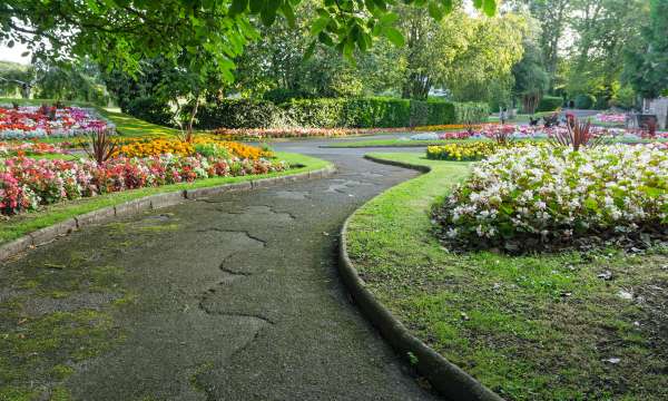 flowers in bideford park