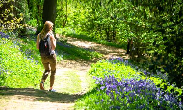 Woman walking in forest