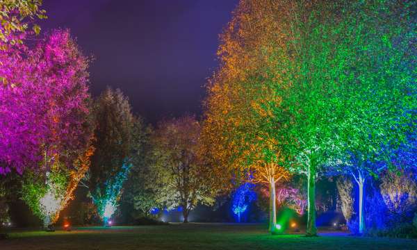 RHS Glow