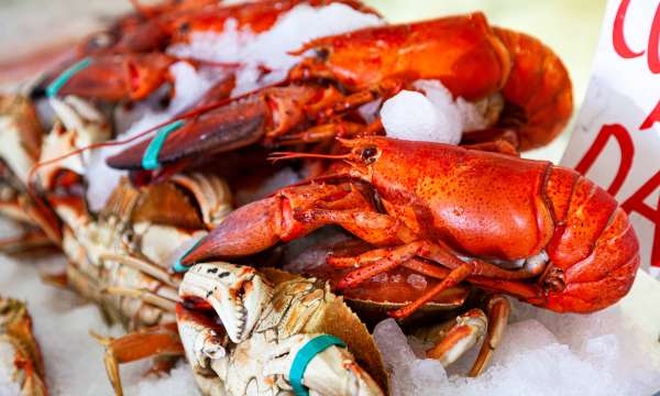 Fresh live lobsters and crab