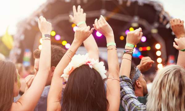 Crowd at a music festival