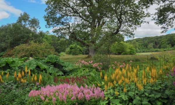 Colourful Flower Border in the Garden at Rosemoor, near Bideford.
