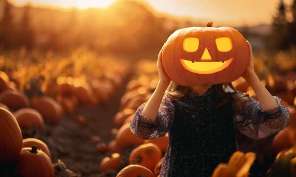 Happy family preparing for Halloween, picking pumpkins in a field