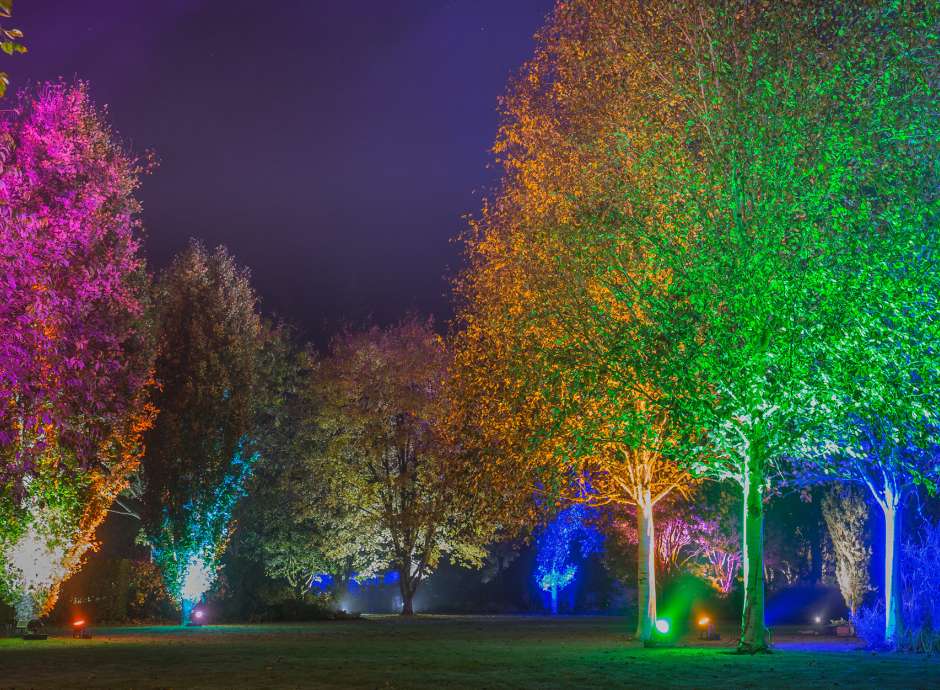 RHS Rosemoor Glow The Royal Hotel