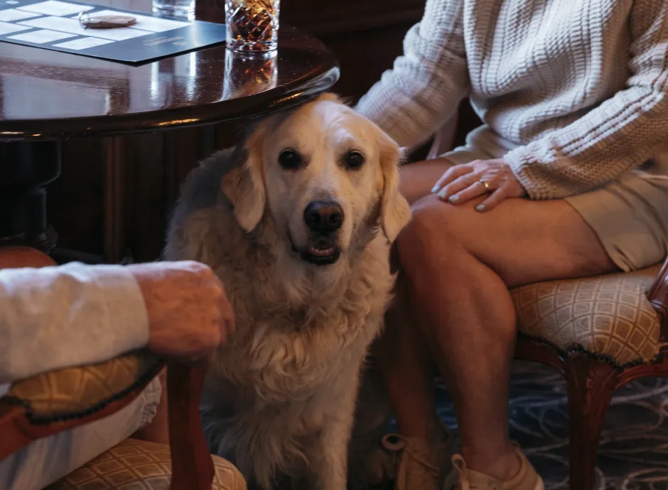 Guests at The Royal Hotel Bideford enjoying a drink in the Kingsley Lounge with their dog